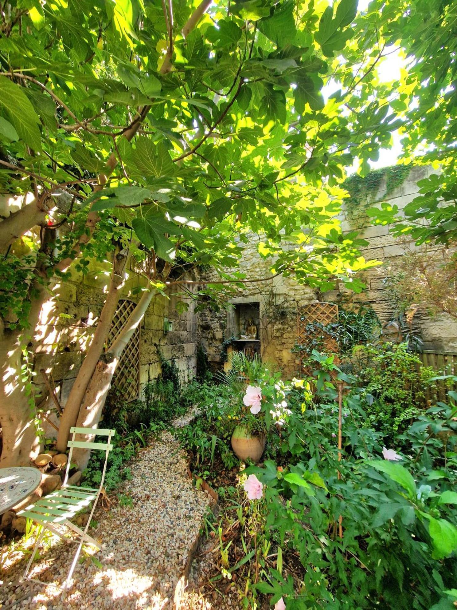 Апартаменты Capucines, Un Jardin Secret Dans Le Centre Historique Арль Экстерьер фото